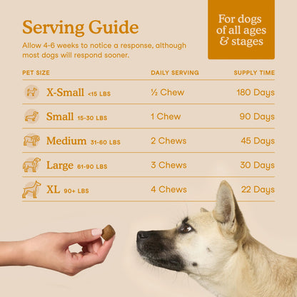 Allergy & Immune Soft Chews for Dogs, Seasonal Allergy & Immune System Support